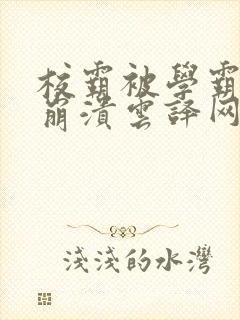 校霸被学霸玩到崩溃云译网封面