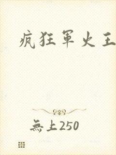 疯狂军火王