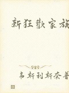 新狂欢家族小说