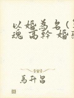 以婚为名 (军魂 高干 婚恋)