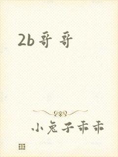 2b哥哥