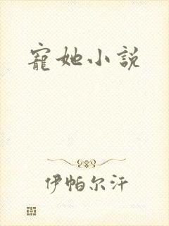 宠她小说封面