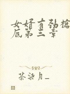 女婿有劲枪枪到底第三章