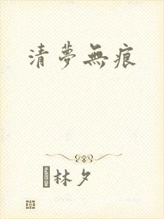 清梦无痕封面