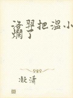 洛羿把温小辉做烂了封面