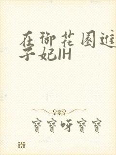 在御花园进入太子妃IH