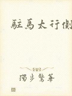 驻马太行侧
