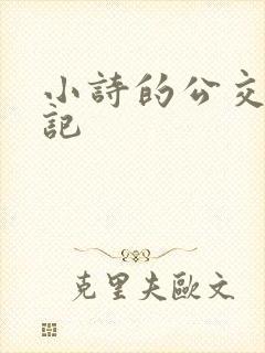 小诗的公交车日记