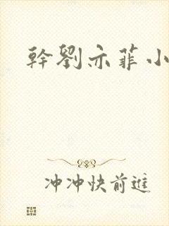 干刘亦菲小说