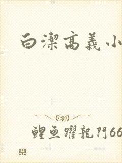 白洁高义小说