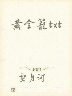 黄金笼txt封面