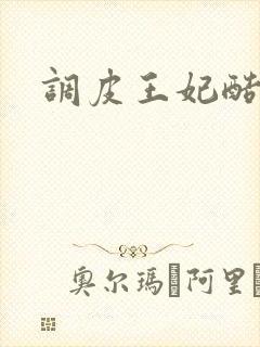 调皮王妃酷王爷