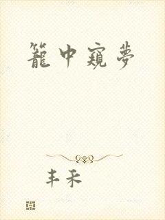 笼中窥梦封面