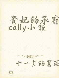 贵妃的承宠日常cally小说封面