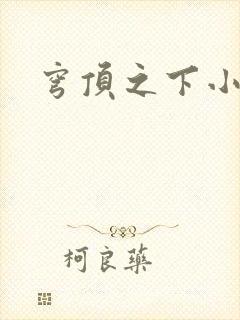 穹顶之下小说