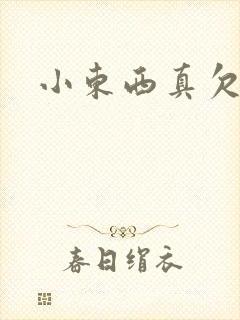 小东西真欠弄