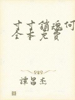 寸寸销魂何生祥全本免费