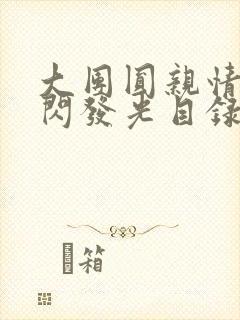 大团圆亲情会闪闪发光目录封面