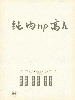 纯肉np高h