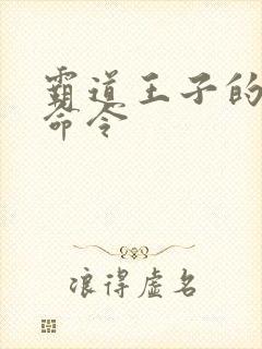 霸道王子的绝对命令