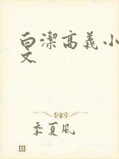 白洁高义小说全文