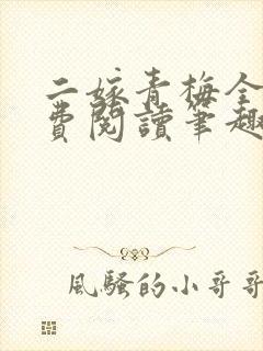 二嫁青梅全文免费阅读笔趣阁
