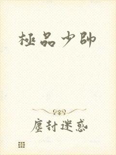 极品少帅
