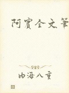阿宾全文笔趣阁