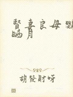贤妻良母 鹦鹉晒月封面
