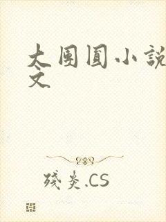 大团圆小说集全文