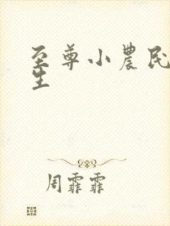 至尊小农民王木生封面