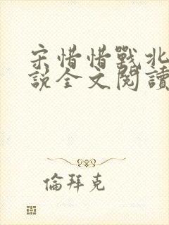 宋惜惜战北望小说全文阅读封面