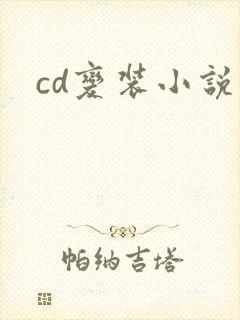 cd变装小说