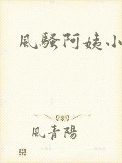 风骚阿姨小说