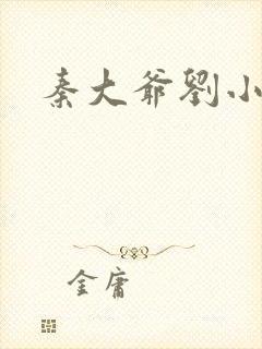 秦大爷刘小静封面