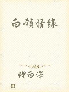 白领情缘
