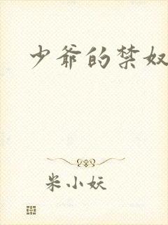 少爷的禁奴