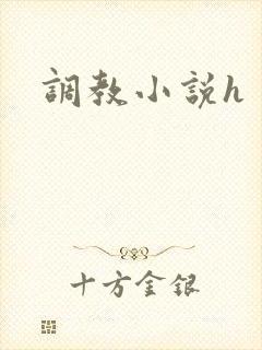 调教小说h封面