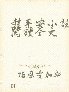 赵平安小说免费阅读全文