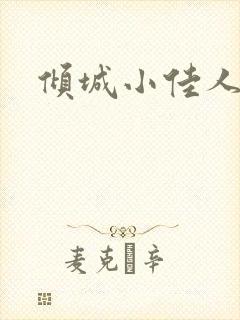 倾城小佳人封面