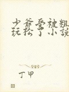 少爷受被粗汉H玩松了小说