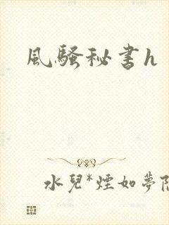 风骚秘书h封面