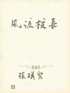 风流校长封面