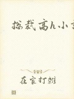 总裁高h小说