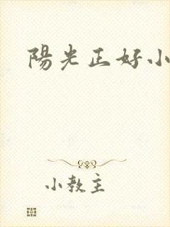 阳光正好小说