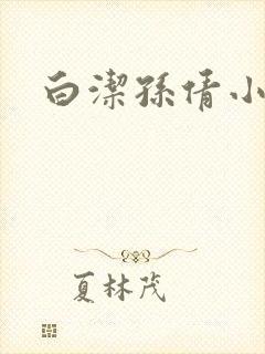 白洁孙倩小说封面