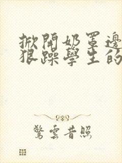 掀开奶罩边躁狠狠躁学生的小文字