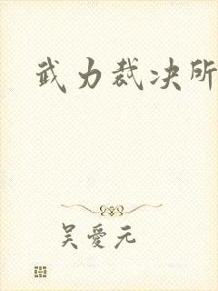 武力裁决所