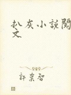 扒灰小说阅读全文封面