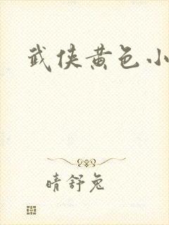 武侠黄色小说封面